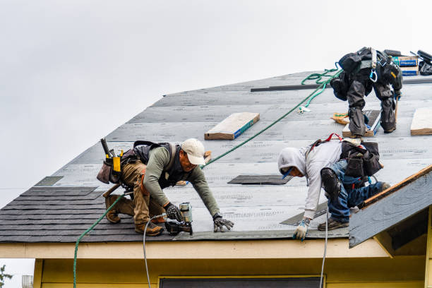 Professional Gutter Installation technician working in Cook, NE